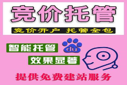 百度竞价推广代运营助力企业多元化营销案例